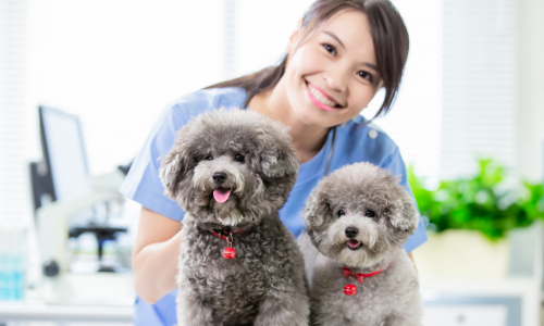 Veterinary Assistant with two dogs
