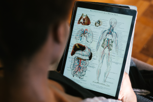 A woman studying anatomy on a tablet